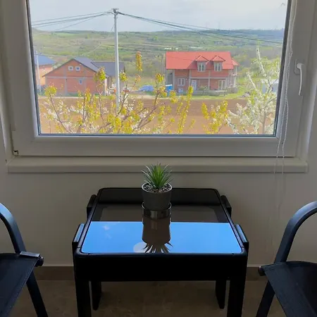 Sova - Peaceful With Garden Apartament Belgrad