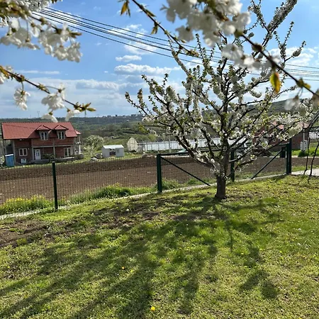 Apartament Sova - Peaceful With Garden