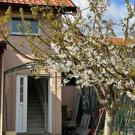 Sova - Peaceful With Garden *